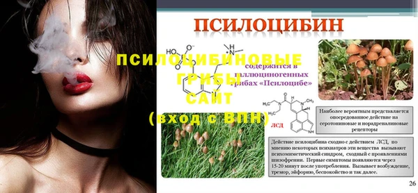 a pvp Абдулино